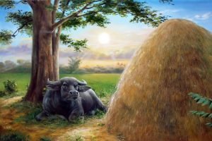 mơ thấy trâu đánh con gì
