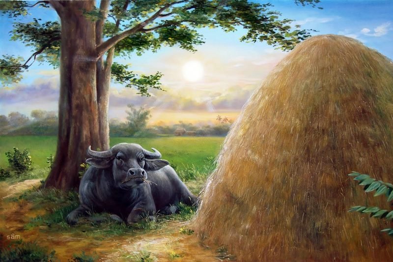 mơ thấy trâu đánh con gì